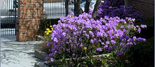 Broadway United Methodist Church